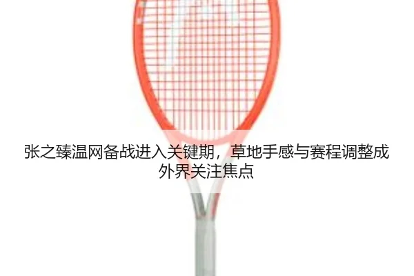 张之臻温网备战进入关键期，草地手感与赛程调整成外界关注焦点 - DouYu